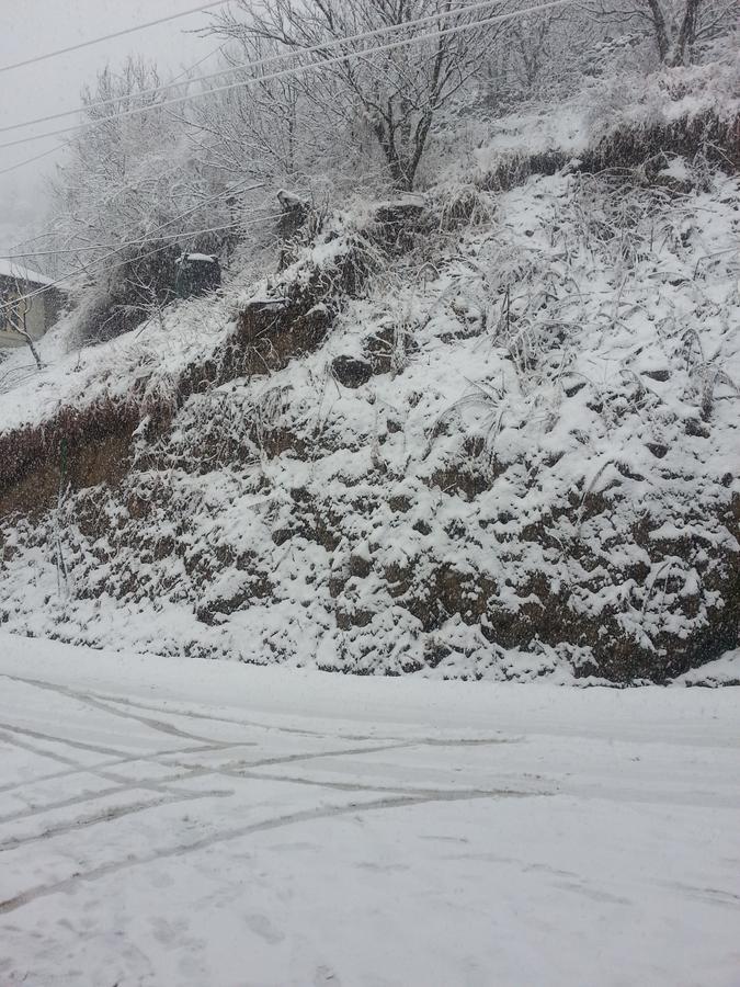 Holiday Bnb Manali 外观 照片